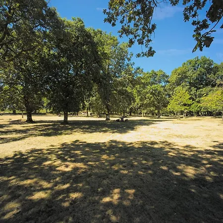 홈스테이 Casa Carvalhal Do Esporao *