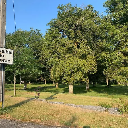 Privatunterkunft Casa Carvalhal Do Esporao