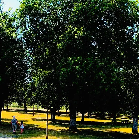 Casa Carvalhal Do Esporao Lamalonga