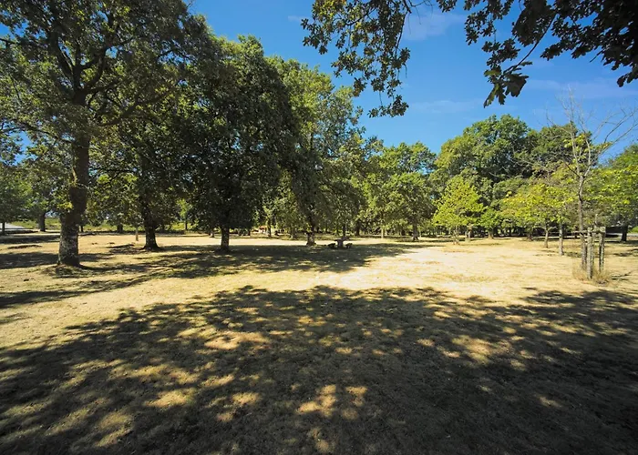 홈스테이 Casa Carvalhal Do Esporao *