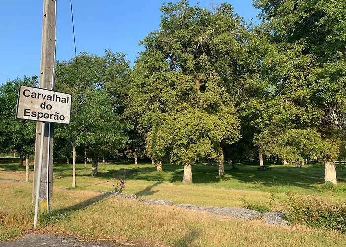 Проживание в семье Casa Carvalhal Do Esporao