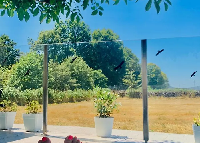 홈스테이 Casa Carvalhal Do Esporao