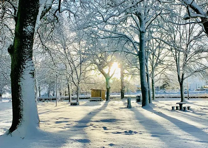 홈스테이 Casa Carvalhal Do Esporao Lamalonga