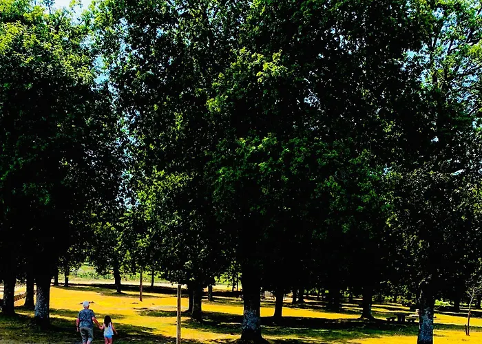 Casa Carvalhal Do Esporao Lamalonga